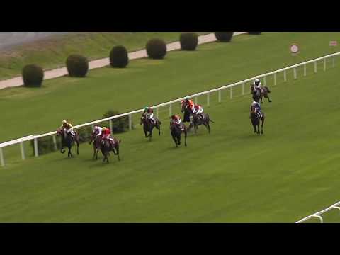 1. dostih - CENA SHARPOURA - dostihy Velká Chuchle 19. 5. 2019