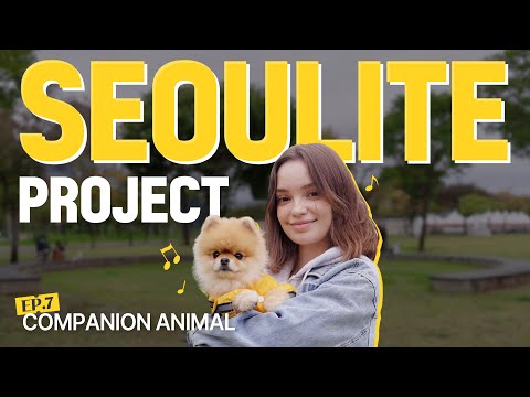 [Seoulite Project EP. 7] A #Companionanimal Story in Seoul with Zarina✨