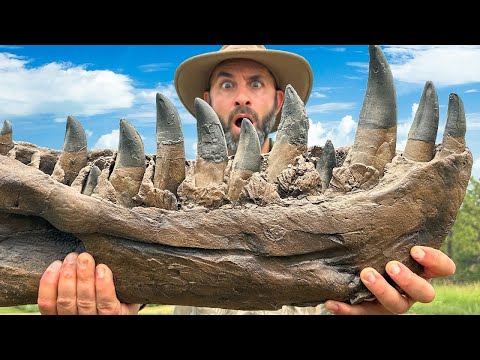 Znaleźliśmy Rzadkie Zęby T-Rexa! Niesamowite Wykopaliska z Coyote Peterson | Brave Wilderness Polski