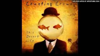 Counting Crows - Colorblind