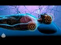 Instant Relief From Stress And Anxiety Detox Negative Emotions Calm Meditation Healing Sleep Music
