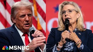 Trump attacks Liz Cheney, says she wouldn&#39;t be such a ‘war hawk’ if she had guns pointed at her