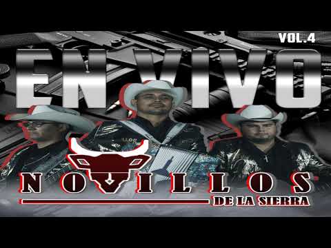 La Chona & Ando Bien Arreglado -  Novillos de la Sierra