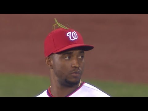 Nationals Victor Robles Played Entire Inning With Live Praying Mantis On His Head