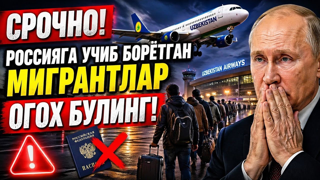 СРОЧНО РОССИЯГА УЧИБ  БОРЁТГАН МИГРАНТЛАР ОГОХ БУЛИНГ