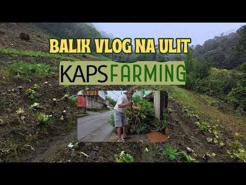 KAPS FARMING BALIK VLOG