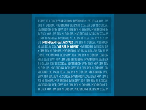 We Are in Words (feat. Avis Vox) (Extended Mix)