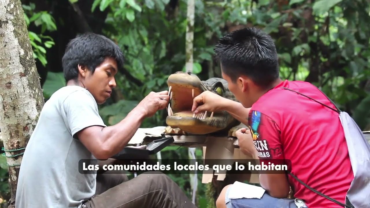 Reserva de Biósfera Yasuní: Un santuario de vida