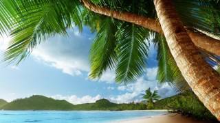 Download lagu Kygo - Island (Tropical House) mp3 Download lagu Kygo - Island (Tropical House) mp3