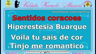 Outras Palavras -  Caetano Veloso | Karaokê