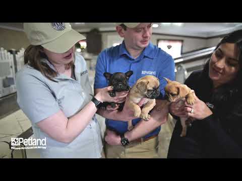 Kennel Tour 113