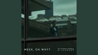 Musik-Video-Miniaturansicht zu Maj Songtext von Meek, Oh Why?