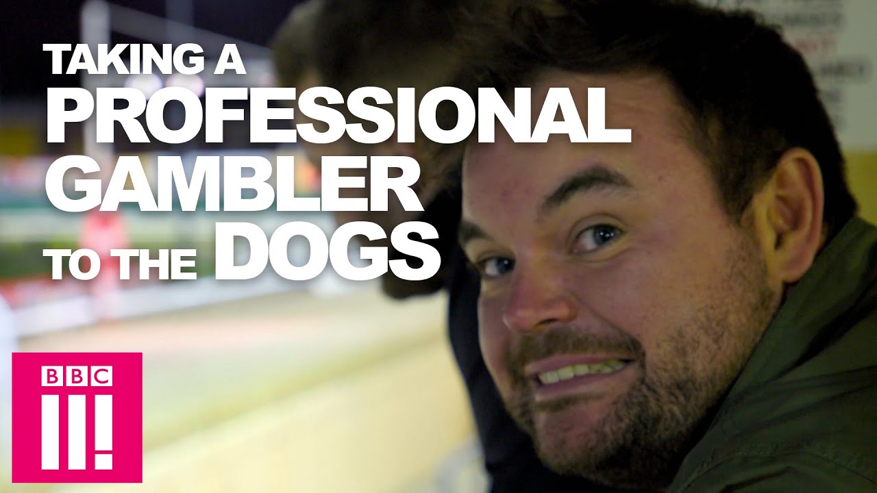 What happens when you take a professional gambler to the dog track | Can You Beat The Bookies?