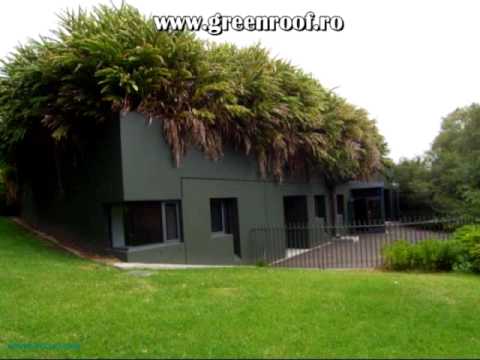greenroof.wmv