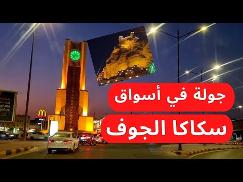 الفيديو