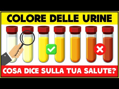 Cosa dice il colore delle tue urine sulla tua salute? - Salute dell'Apparato Urinario (Escretore)