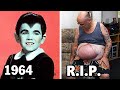 The Munsters 1964 Cast Where Are All The Actors Now And How Rich Are They In 2025