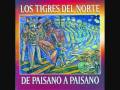 La loba -Los tigres del Norte
