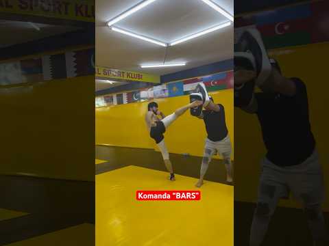 Komanda “BARS” #shorts #short #sport #boxing #video #ufc #mma #rek #top #reels #yutube #bars #new