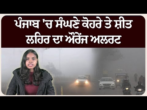 ਪੰਜਾਬ 'ਚ ਸੰਘਣੇ ਕੋਹਰੇ ਤੇ ਸ਼ੀਤ ਲਹਿਰ ਦਾ ਔਰੇਂਜ ਅਲਰਟ