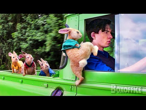 Conejos VS Humanos: El enfrentamiento final | Mejores escenas de Peter Rabbit 1 + 2 ⚡ 4K