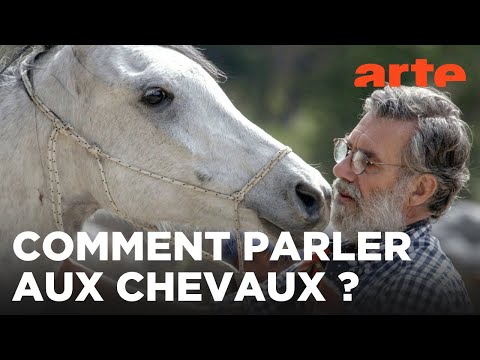 Oscar ou l'art d'apprivoiser les chevaux | 360° Reportage | ARTE Évasion