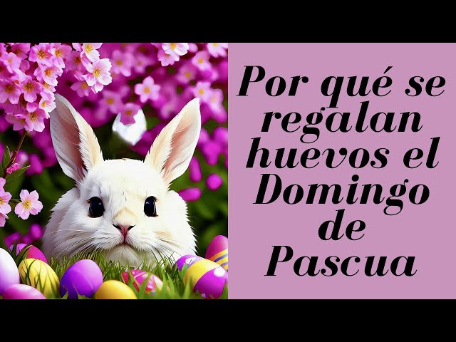 Vídeo relacionado con Milaloko 48 Huevos de Pascua Rellenables, Huevos de Plástico Vacíos de Colores Brillantes para Caza de Semana Santa, 4 x 6 cm