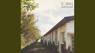 Consolation To You 가장 따뜻한 위로