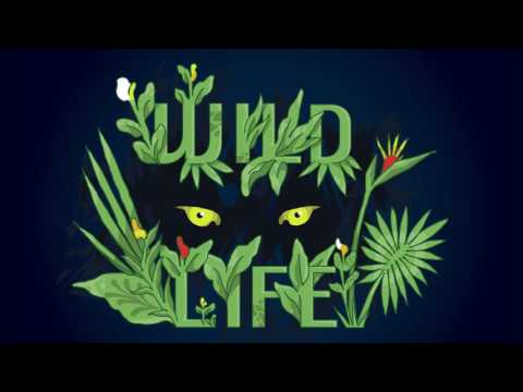 Client Liaison - Wild Life