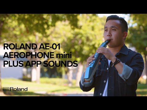 Roland AE-01 Aerophone mini Plus App: Sounds
