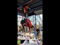 Prize Flyer The Human Crane Experience
