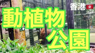 無料だからって侮れない!香港動植物公園でたくさんのモンキーに感激の巻
