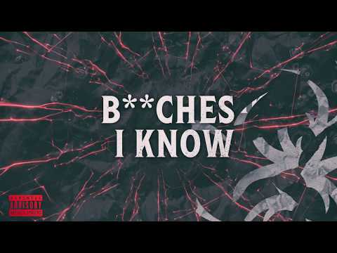 Video thumbnail for Bitches I Know