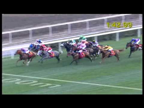 17.02.2013 ShaTin (HKG) 9.Race The HK Classic Cup 2013 - Group I 1.800 m