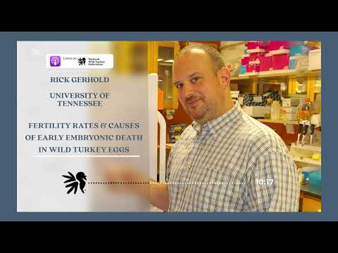 Factors Behind Failures to Hatch in Wild Turkeys : RFP Tennessee