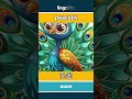 peacock - 孔雀 video thumbnail
