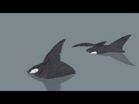 Pink Floyd - Poles Apart (1994) 24/96 legendado