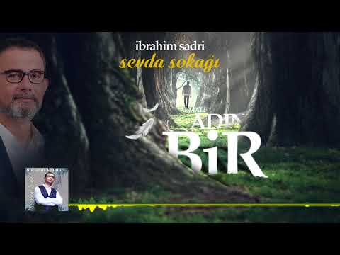 İbrahim Sadri - Sevda Sokağı