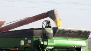 preview picture of video '2366 case ih combine unloading corn near St. Thomas, MN 2008'
