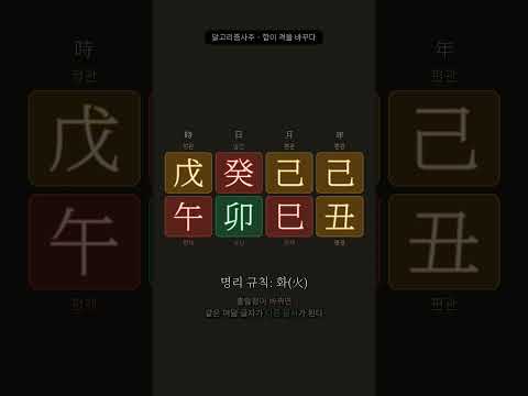 일간이 다른 글자와 손을 잡고 자기 오행을 버린다 | 알고리즘으로 푸는 사주 9