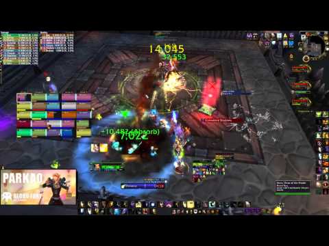 Blood Fury vs The iron Maidens Heroic | Priest POV