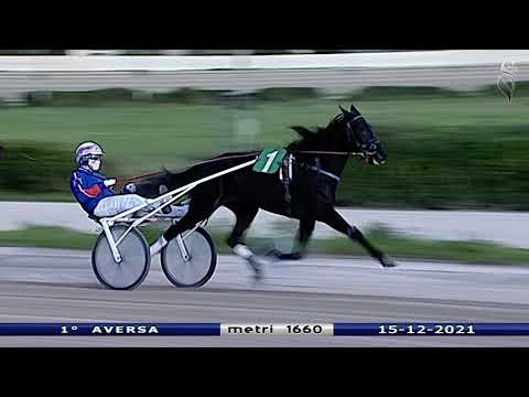 Aversa trotto 15 Dicembre 2021 - 1° Corsa