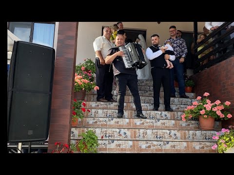 DANIEL CHITULESCU SI SERGIU STB - NUNTA MARE LA BARBULET - COLAJ ASCULTARE