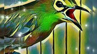 Download lagu MASTERAN TEMBAKAN UNTUK PLECI TERBARU mp3