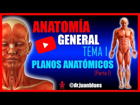 TOPIC 1: ANATOMICAL POSITION // ANATOMICAL PLANES // POSITION TERMS #Anatomy