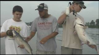 preview picture of video 'Blue Catfish Double'