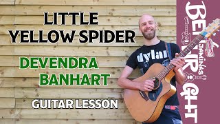 Little Yellow Spider - Devendra Banhart - Guitar Lesson