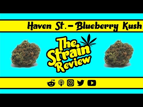 Havent St - Blueberry Kush: Indica | The Strain Review