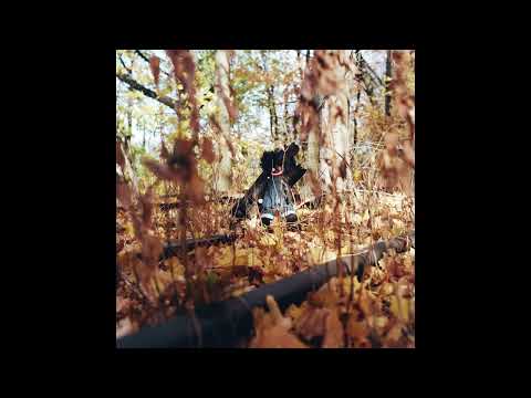billy woods - House In The Woods (prod. by Steel Tipped Dove)