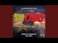 Special Agent Oso Main Theme From Special Agent Oso